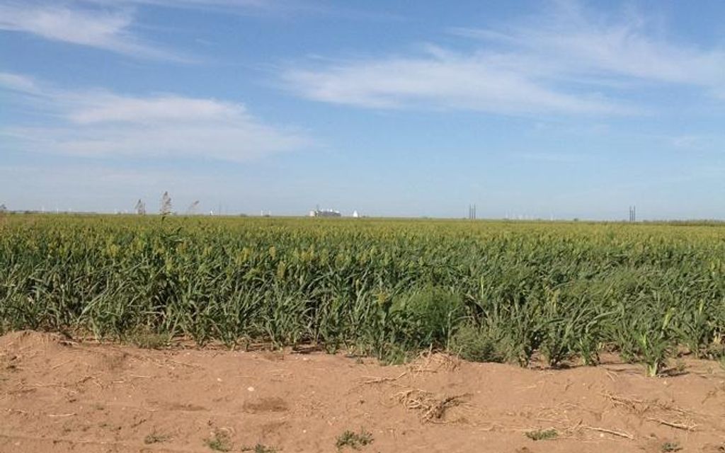 3040 acres, Sunray, TX, Property ID 1662361 Land and Farm
