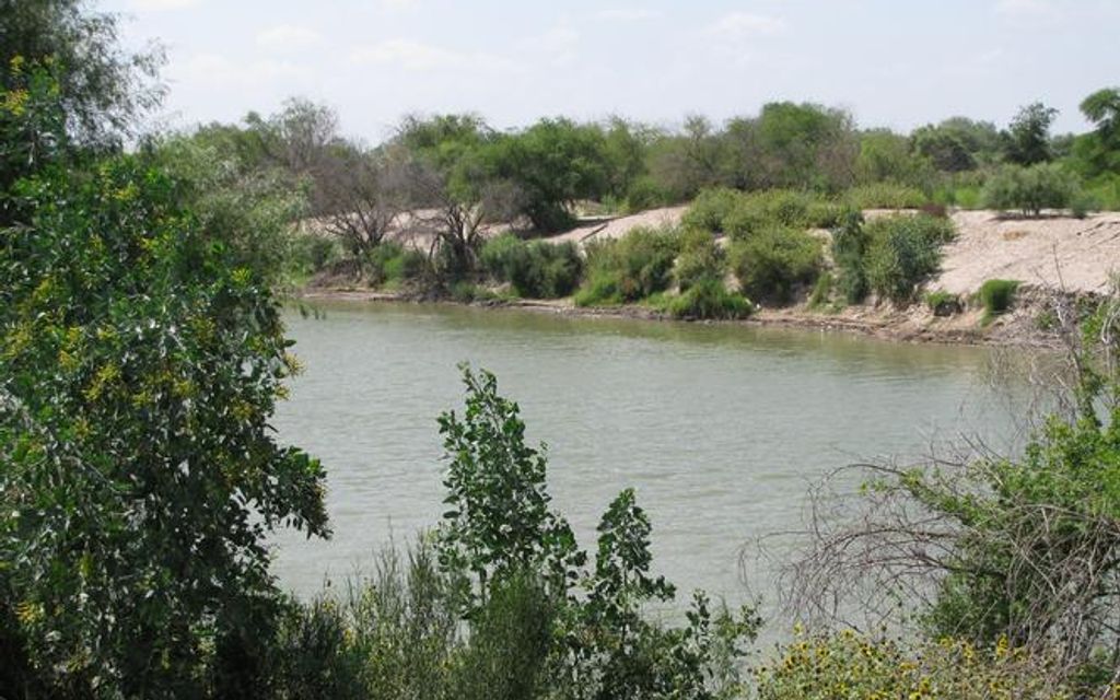 39.9 acres, La Grulla, TX, Property ID 3028298 Land and Farm