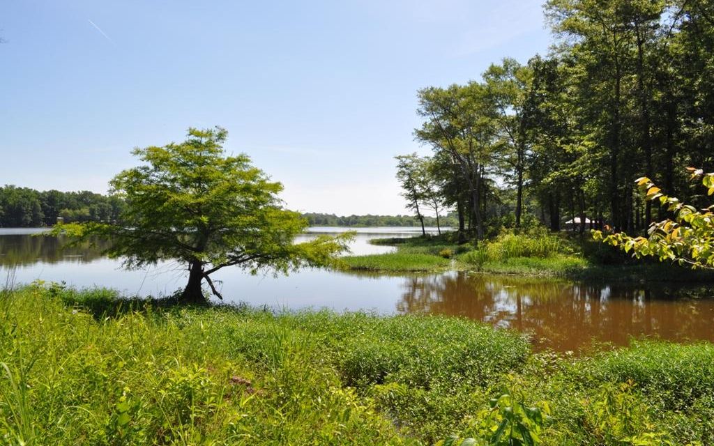 1.56 acres, Sawyerville, AL, Property ID 1468612 Land and Farm