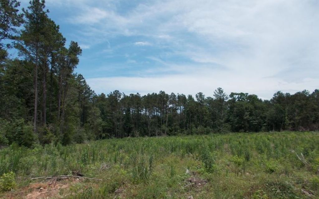 236 acres, Woodville, TX, Property ID 2147647 Land and Farm