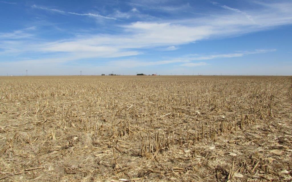 320 acres, Hart, TX, Property ID 3420510 Land and Farm