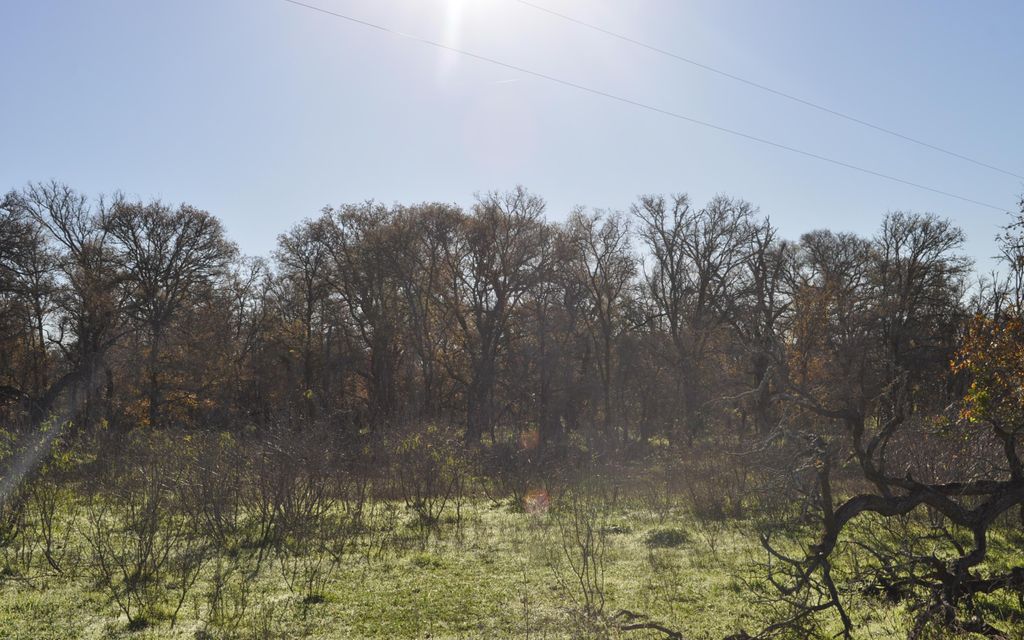 3.3 acres, Lytton Springs, TX, Property ID 3017704 Land and Farm