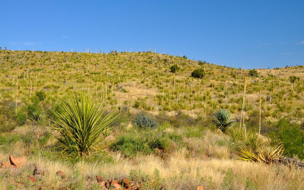 1266 acres, Alpine, TX, Property ID 2344907 Land and Farm