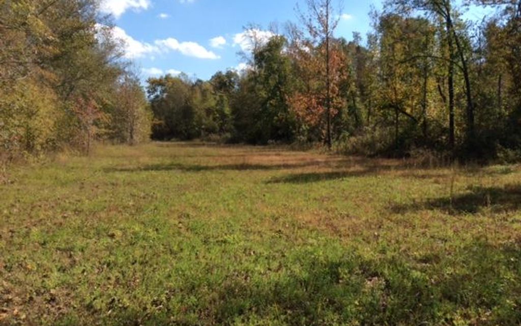 52 acres, Toone, TN, Property ID 3315130 Land and Farm