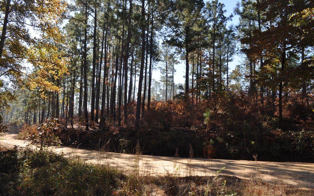 80 acres, Duncanville, AL, Property ID 596863 Land and Farm