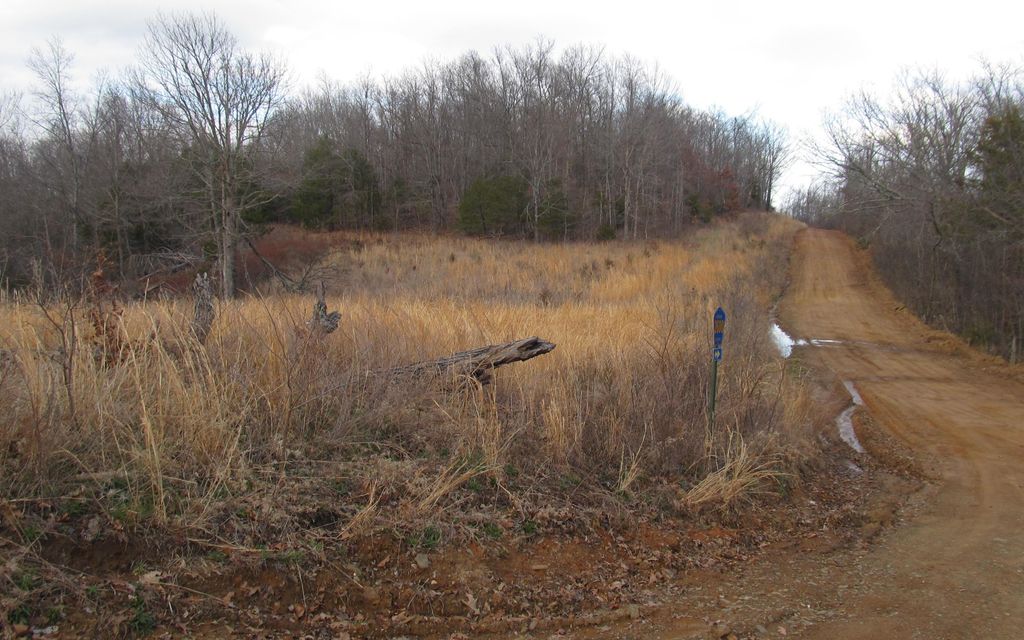 93 acres, Kingston, AR, Property ID 1726194 Land and Farm