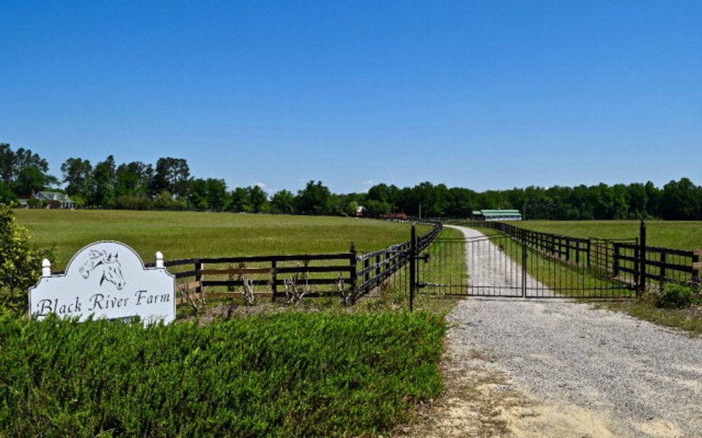 130 acres, Aiken, SC, Property ID 4253835 Land and Farm