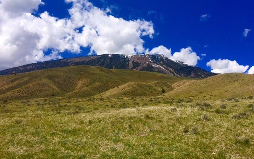 8.5 acres, Dell, MT, Property ID 4412240 Land and Farm