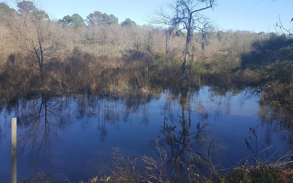 20 acres, Quincy, FL, Property ID 4352771 Land and Farm