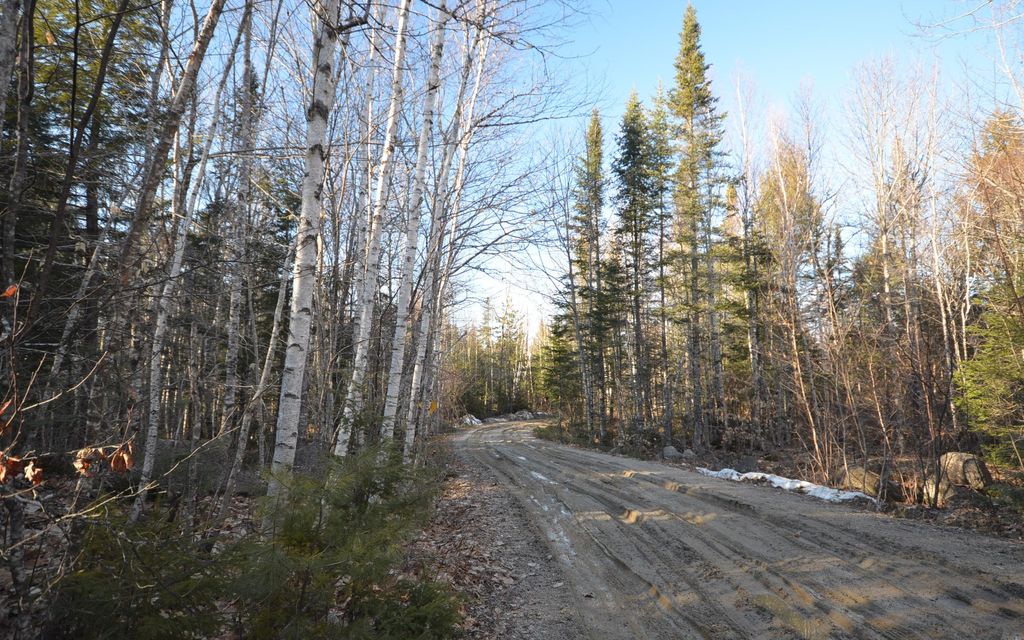 143 acres, Burlington, ME, Property ID 2718925 Land and Farm