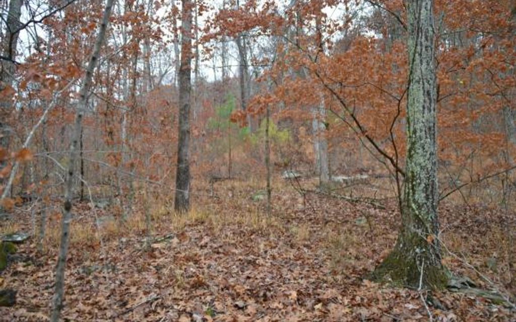 45.81 acres, Hayden, AL, Property ID 4287596 Land and Farm