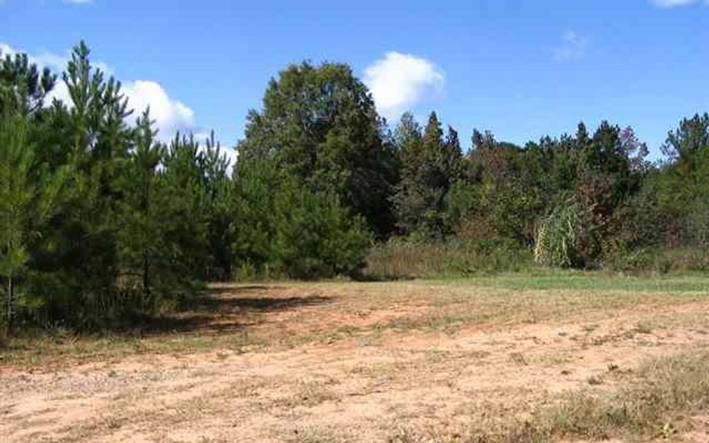 11 acres, Clinton, SC, Property ID 4349181 Land and Farm