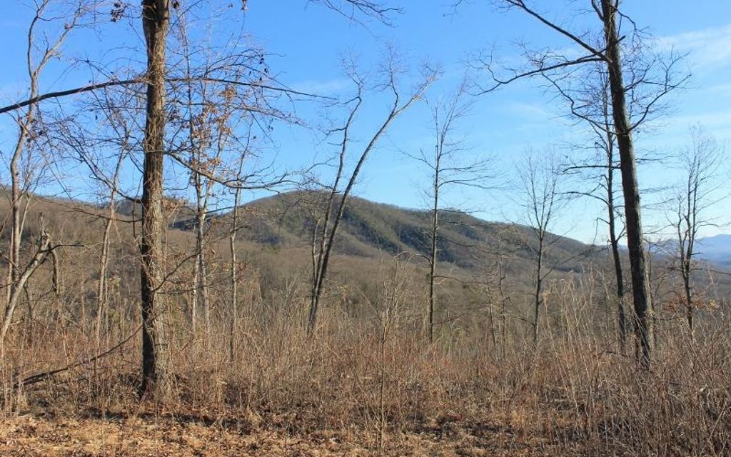 197.7 acres, Eagle Rock, VA, Property ID 4065516 Land and Farm