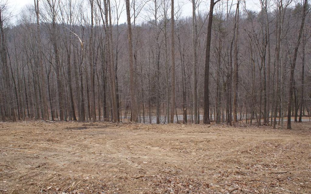 6.7 acres, Eagle Rock, VA, Property ID 4061712 Land and Farm