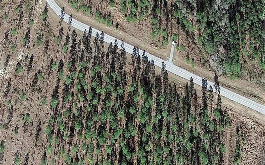 4.01 acres, Vernon, FL, Property ID 4274464 Land and Farm