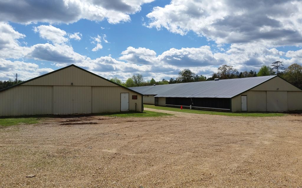 33 acres, Jasper, AL, Property ID 4461957 Land and Farm