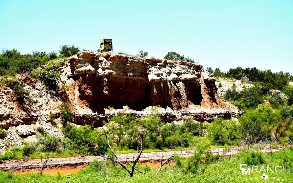 1307 acres, Aspermont, TX, Property ID 2231591 Land and Farm