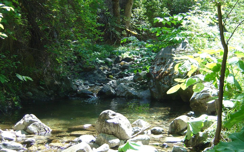 80 acres, Hayfork, CA, Property ID 2294335 Land and Farm