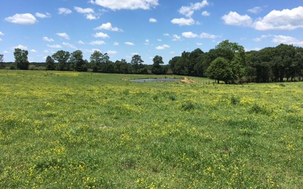 43 acres, Mount Olive, MS, Property ID 2834578 Land and Farm