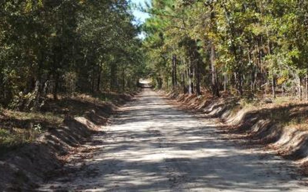 107 acres, Perry, SC, Property ID 1725977 Land and Farm