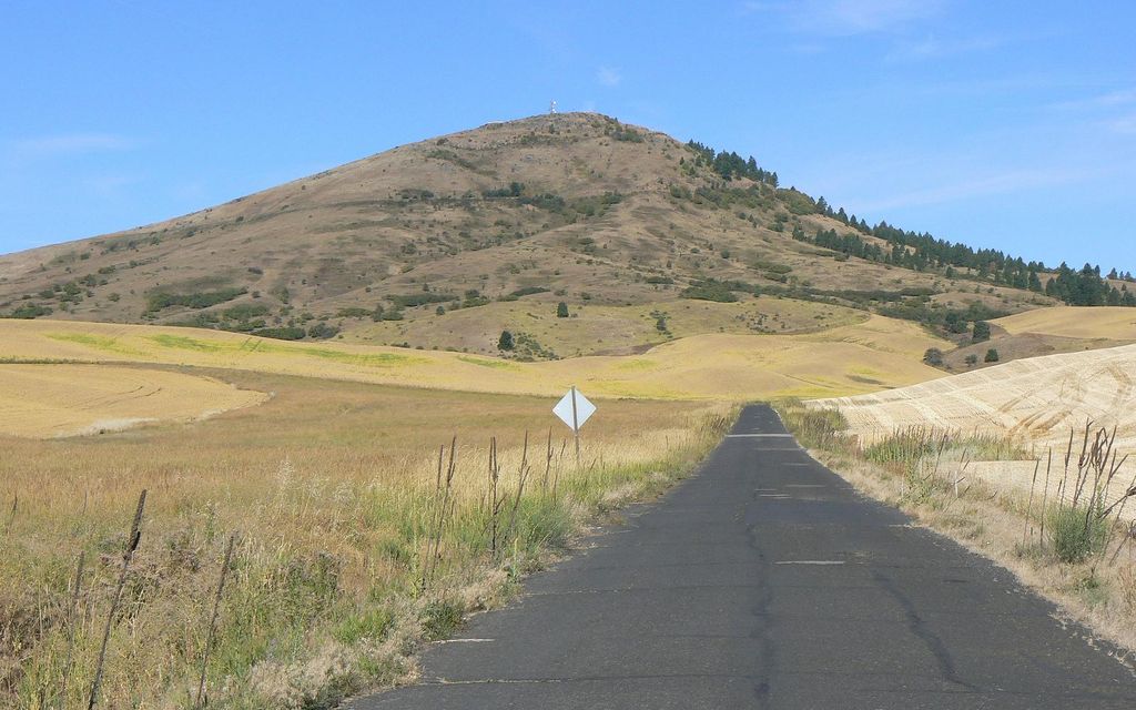 437 acres, Colfax, WA, Property ID 3202391 Land and Farm