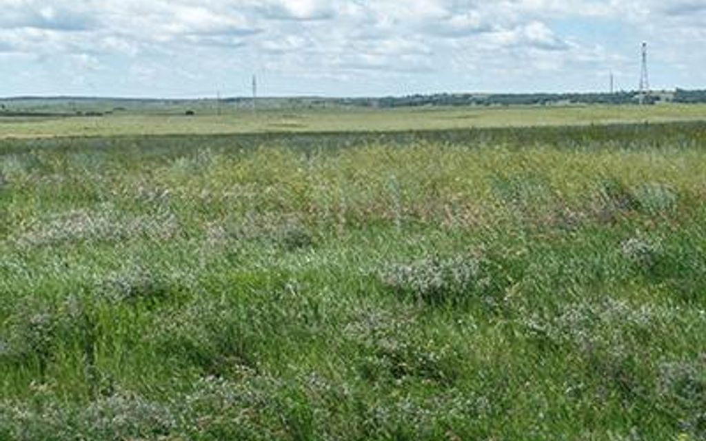 802 acres, Tuttle, ND, Property ID 3237099 Land and Farm