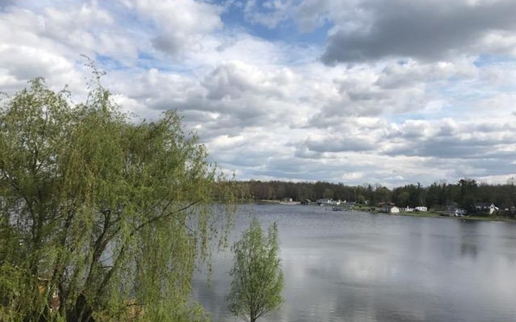 1.7 acres, Six Lakes, MI, Property ID 4552331 Land and Farm