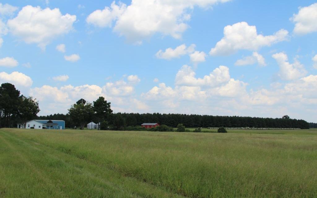 44.7 acres, Walnut Hill, FL, Property ID 1019558 Land and Farm