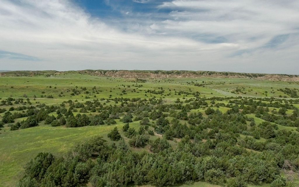 45000 acres, Wibaux, MT, Property ID 4609587 Land and Farm