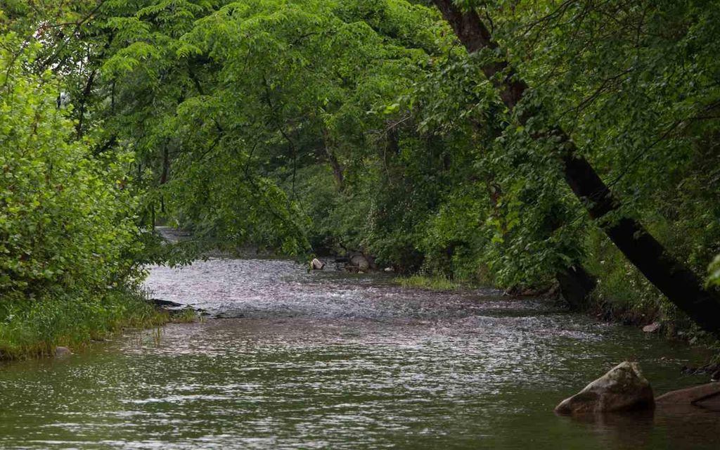 100 acres, Fulks Run, VA, Property ID 4609997 Land and Farm