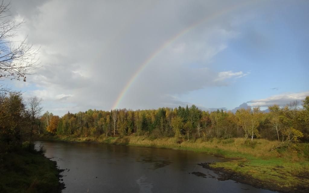 184 acres, Bancroft, ME, Property ID 1785083 Land and Farm