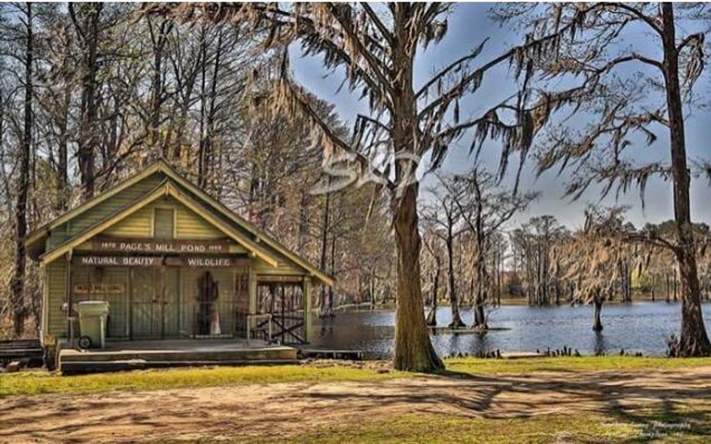 295 acres, Lake View, SC, Property ID 4741684 Land and Farm