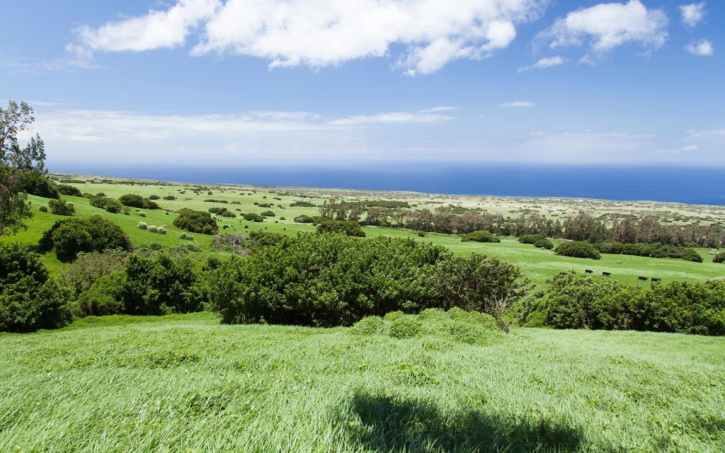 20 acres, Waimea, HI, Property ID 4746299 Land and Farm