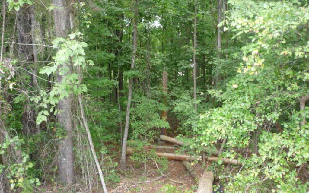 1 acre, Abbeville, SC, Property ID 4754042 Land and Farm