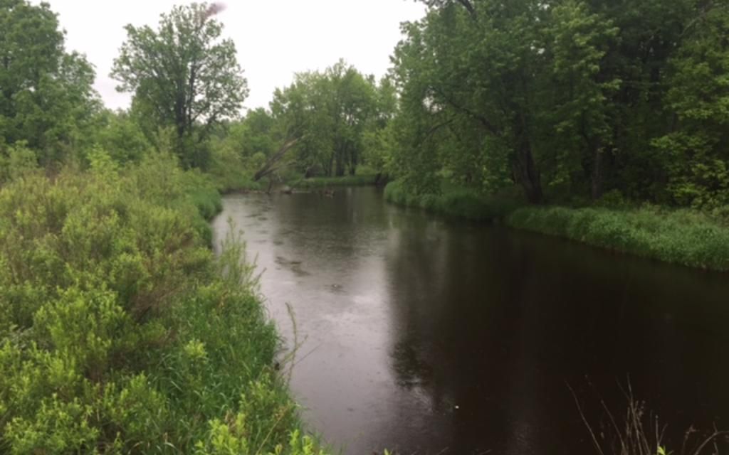 80.3 acres, Swan River, MN, Property ID 4787448 Land and Farm