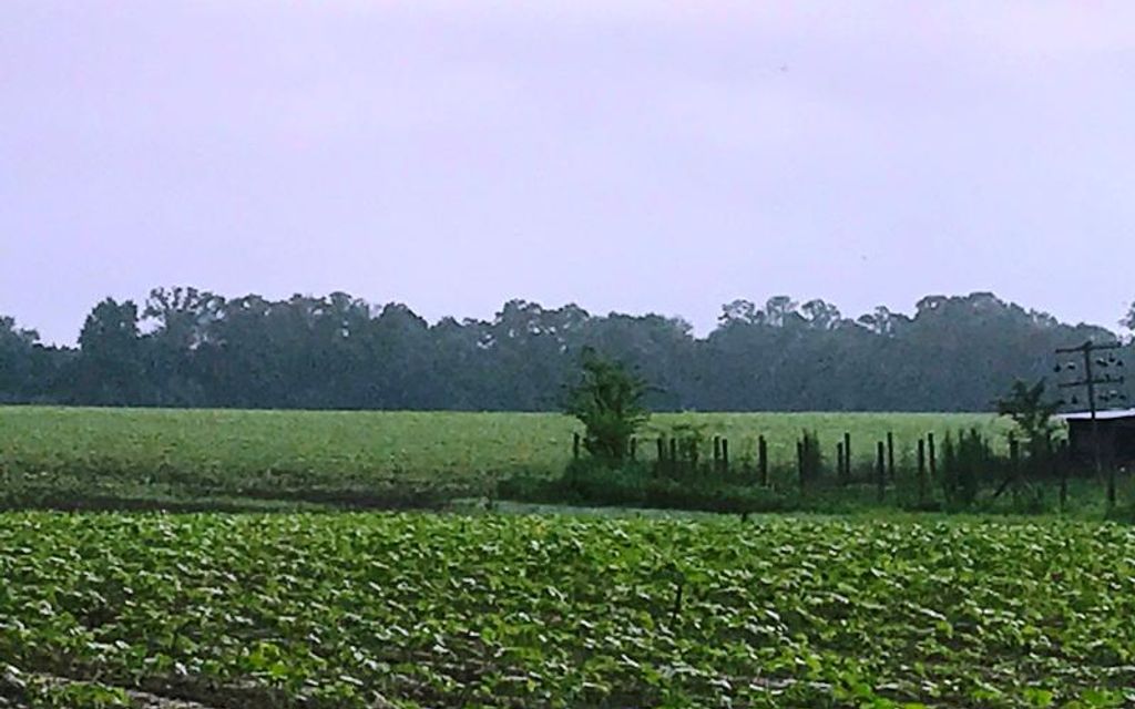83 acres, Bainbridge, GA, Property ID 4788249 Land and Farm
