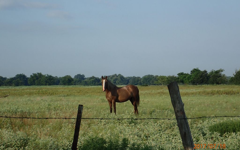 15 Acres Sulphur Springs Tx Property Id 4793512 Land And Farm