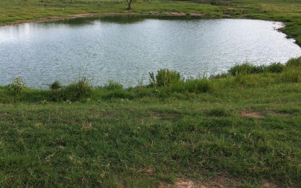 126 acres, Flynn, TX, Property ID 853395 Land and Farm