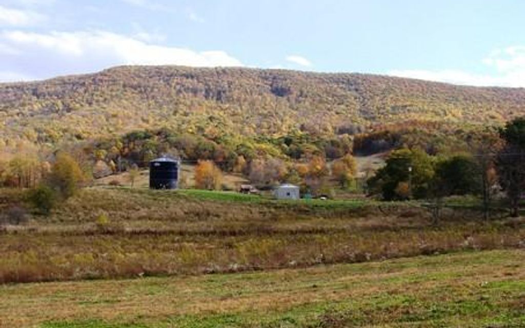 300 acres, Gap Mills, WV, Property ID 598580 Land and Farm