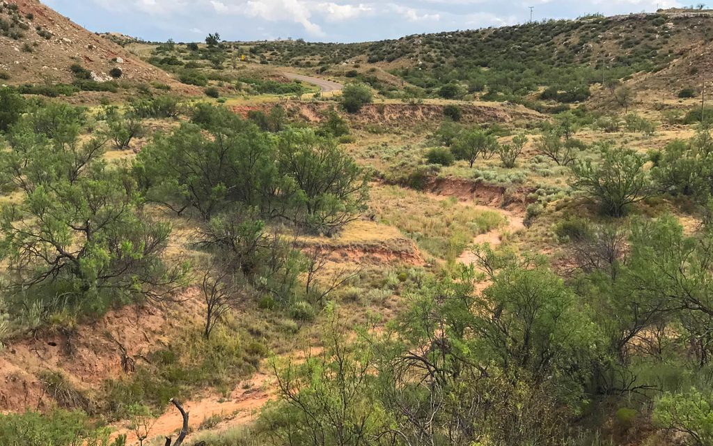 120 acres, TX, Property ID 6558200 Land and Farm