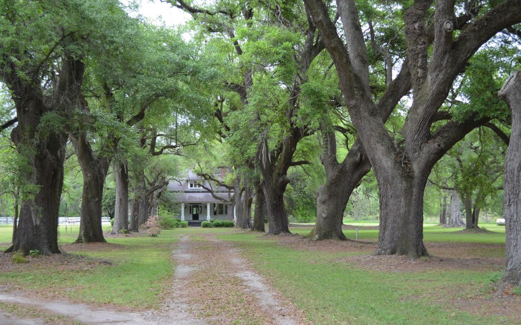 387 acres, Holly Hill, SC, Property ID 6724631 Land and Farm