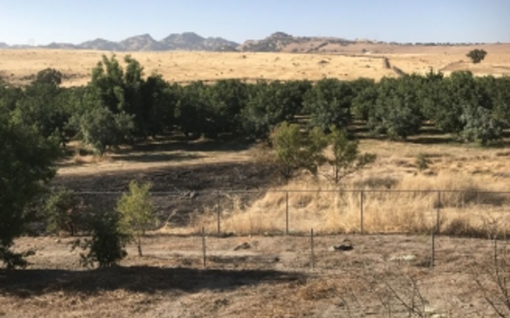 42.74 acres, Sutter, CA, Property ID 6735282 Land and Farm
