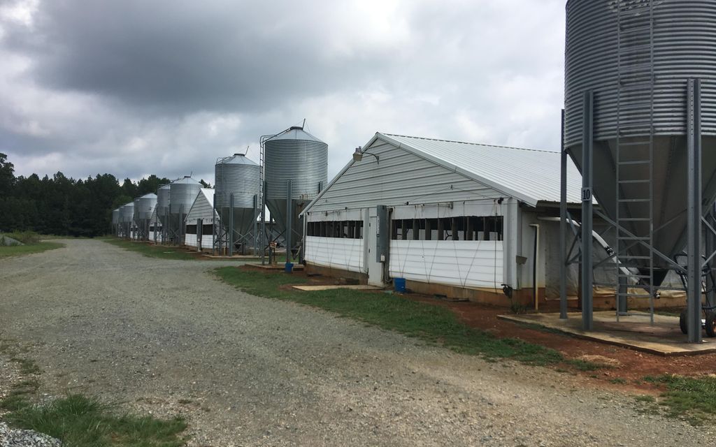 203 acres, Siler City, NC, Property ID 6748645 Land and Farm