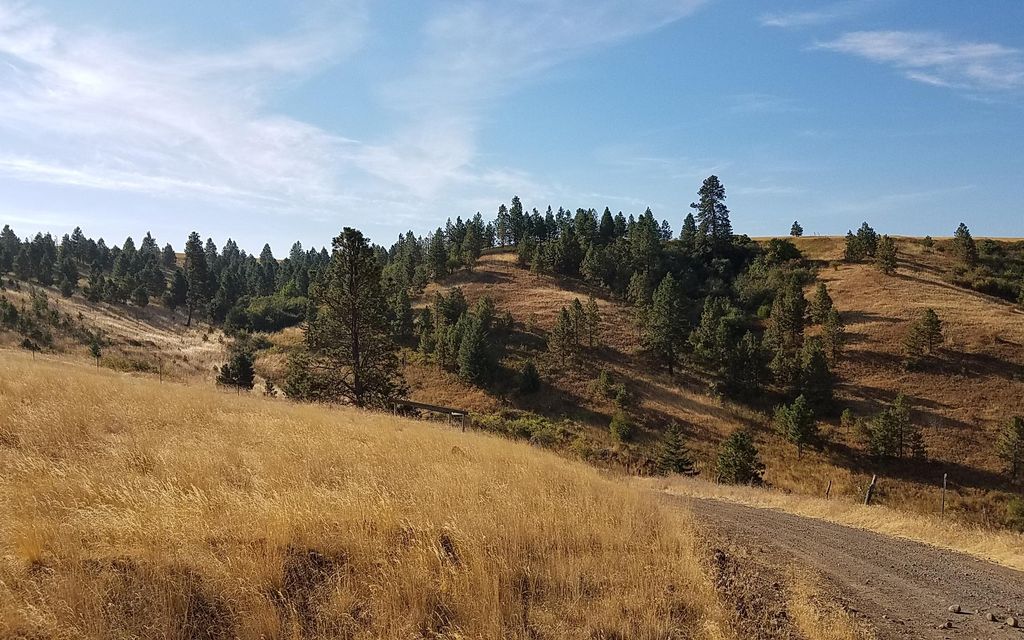 2003.6 acres, Dayton, WA, Property ID 6986491 Land and Farm