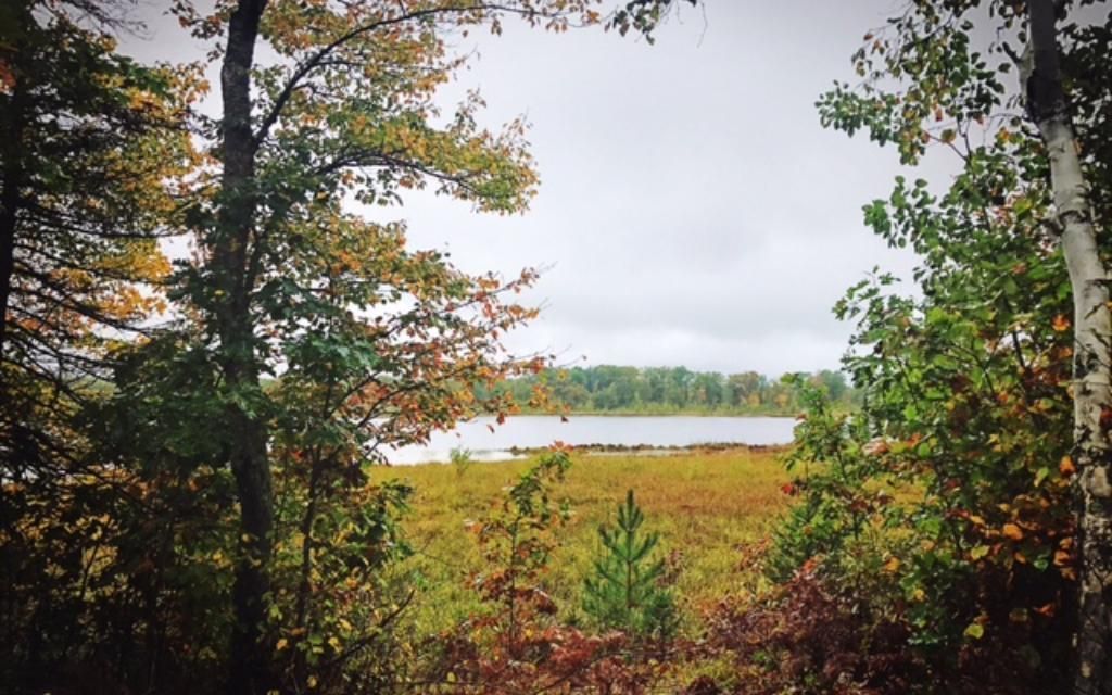 80 acres, Duquette, MN, Property ID 7027647 Land and Farm