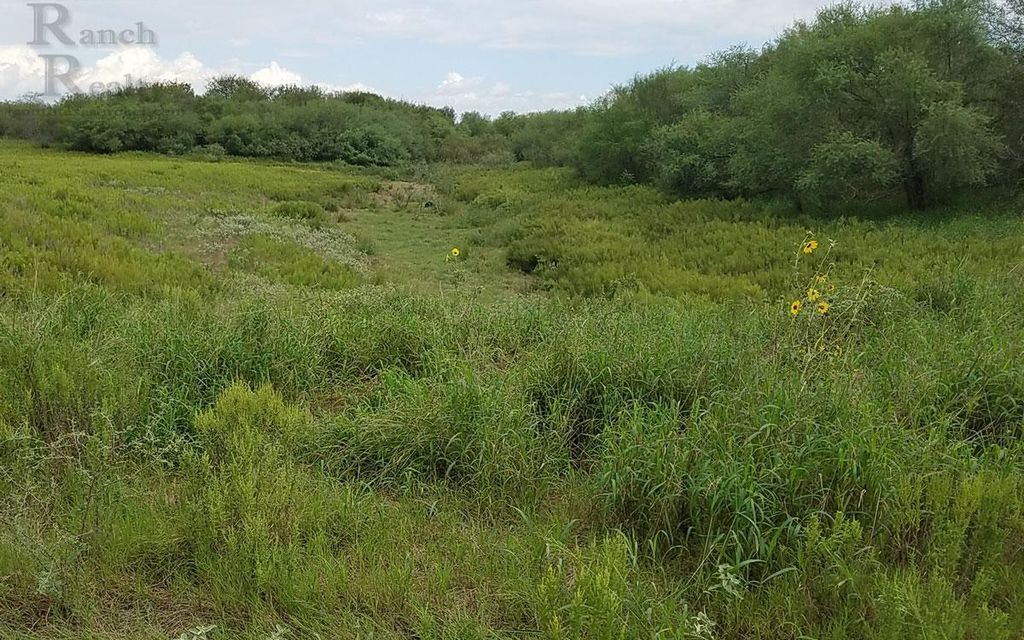 118 acres, Falfurrias, TX, Property ID 7035281 Land and Farm