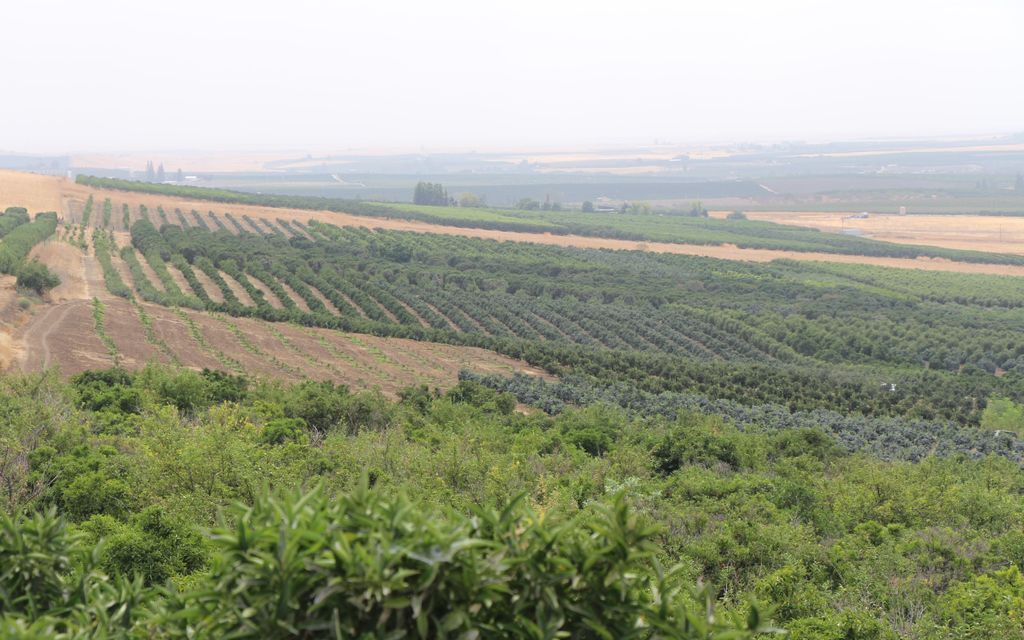 347 Acres Porterville Ca Property Id 7050701 Land And Farm