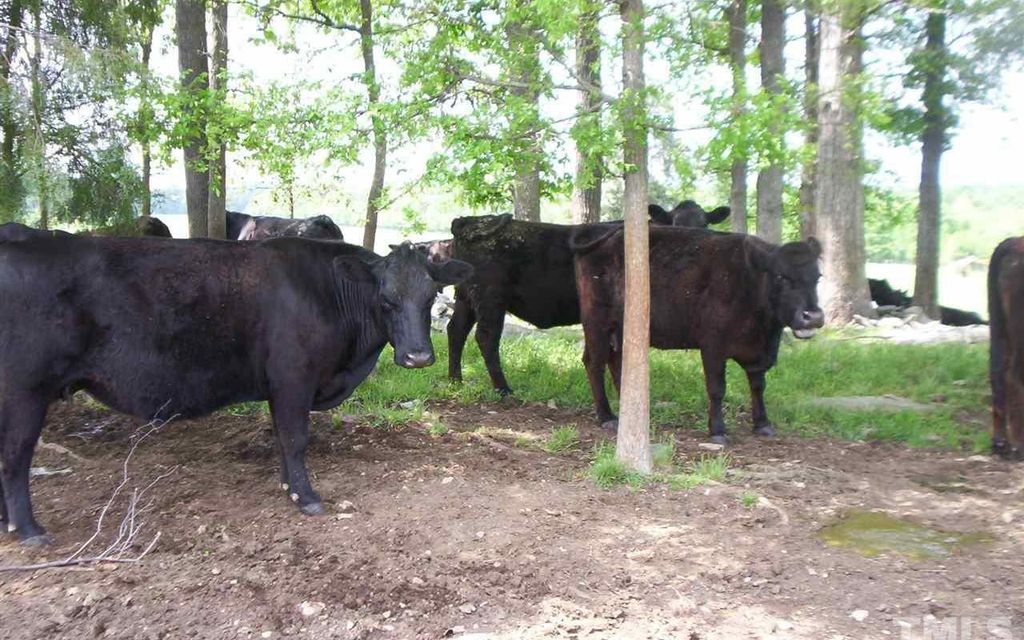 210 acres, Siler City, NC, Property ID 7055384 Land and Farm