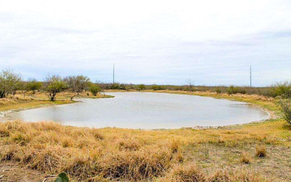 965 acres, Encinal, TX, Property ID 3436851 Land and Farm