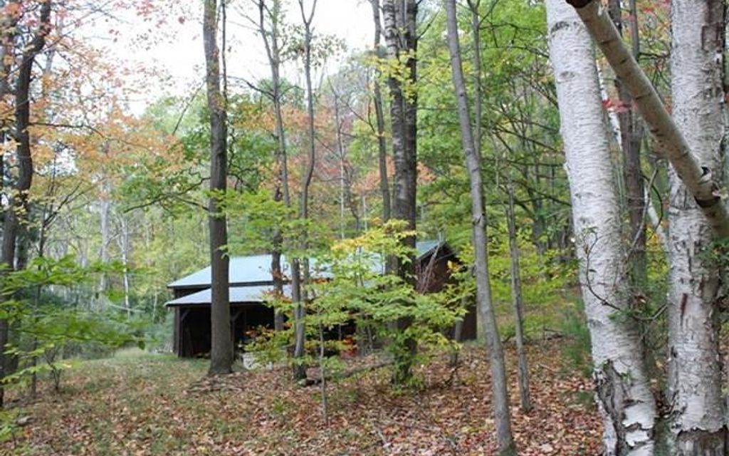 100 acres, Tioga, PA, Property ID 7085967 Land and Farm